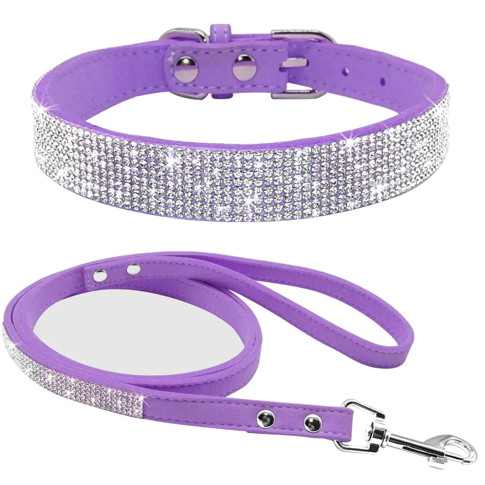 Collar Leash Ensemble for Pets