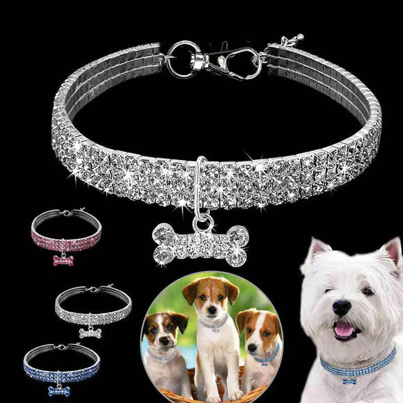 Refined Accessory: Pet Collar