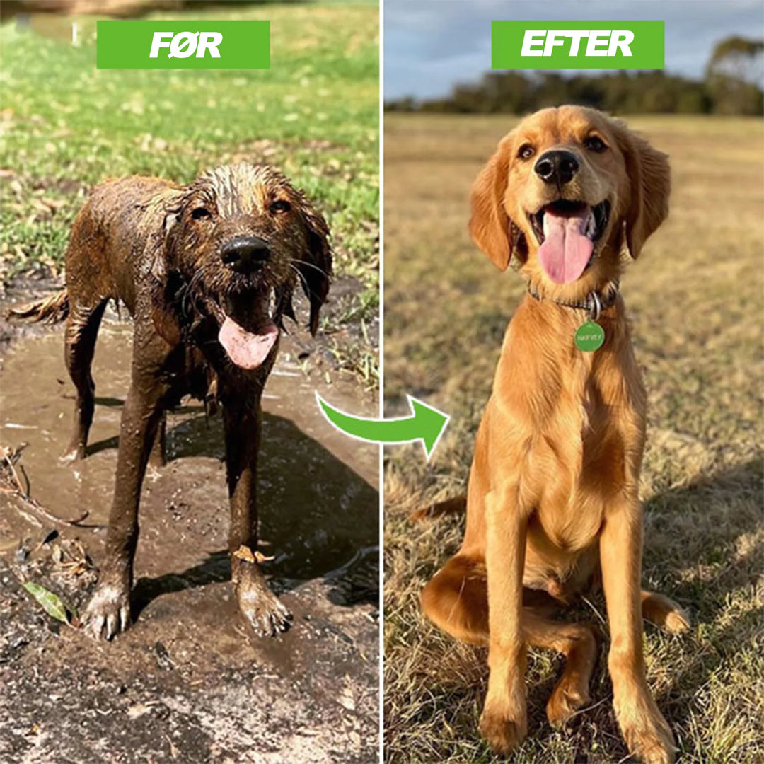 Shower Jet Attachment for Dogs