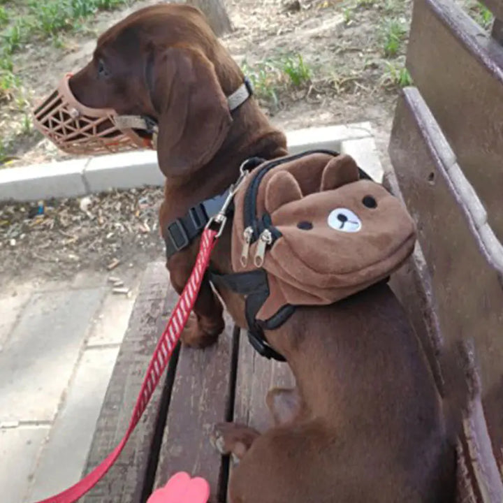 Pet Carrier Backpack