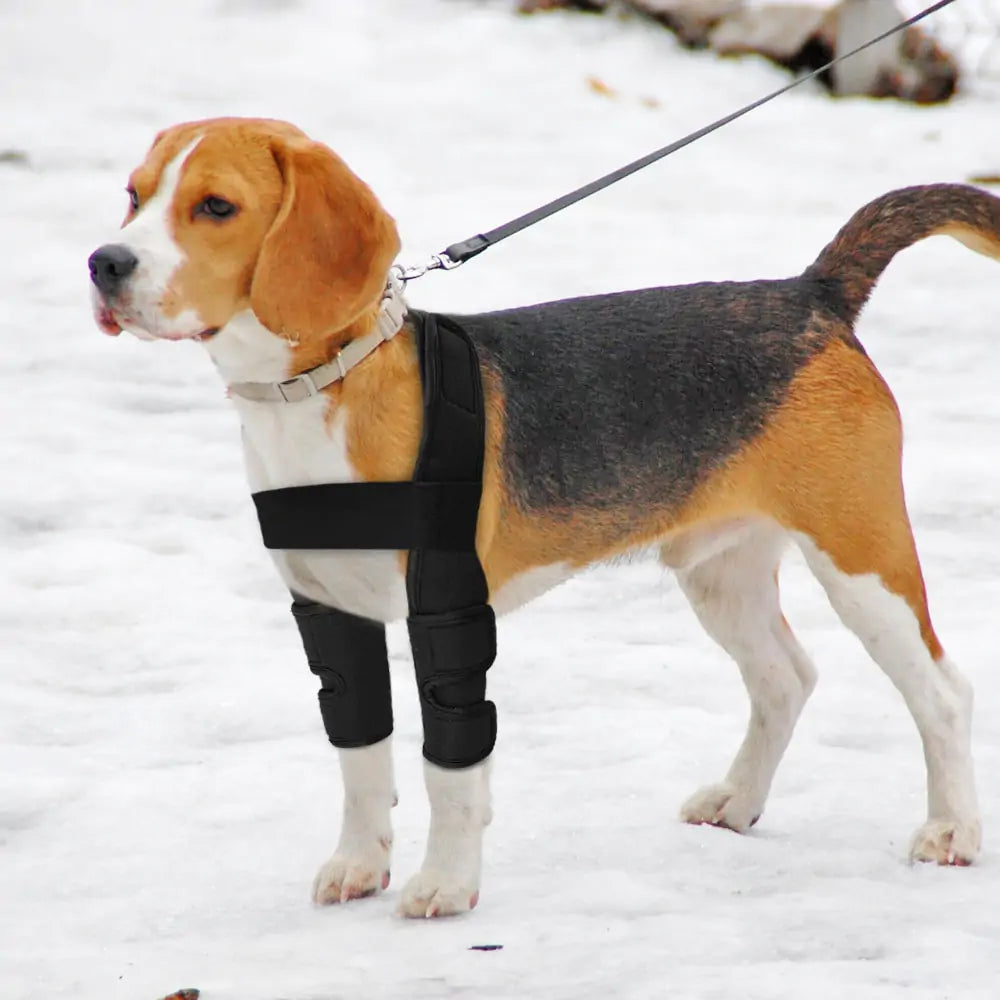 Supportive Pet Leg Brace