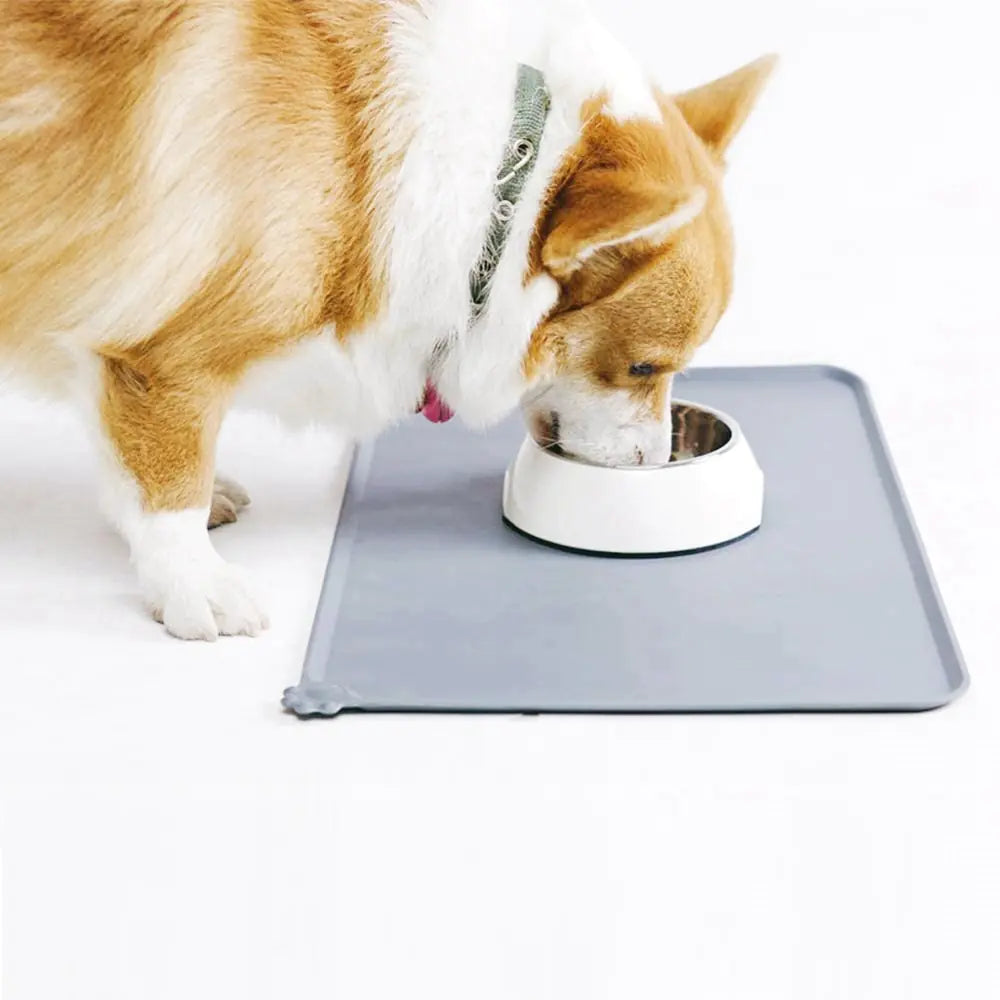 Silicone Pet Feeding Mat