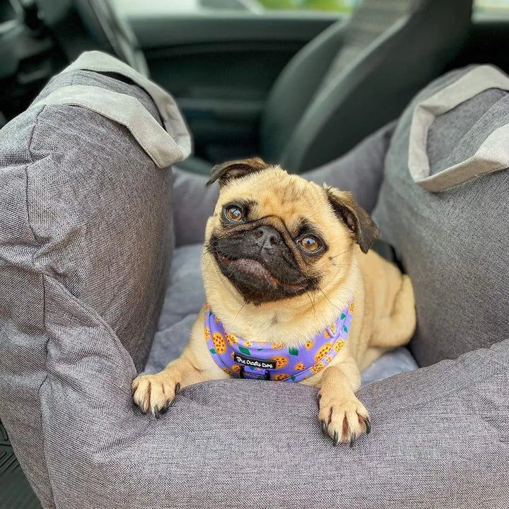 Portable Pet Travel Bed