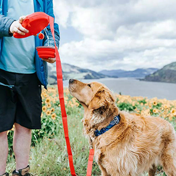 Extendable Dog Leash