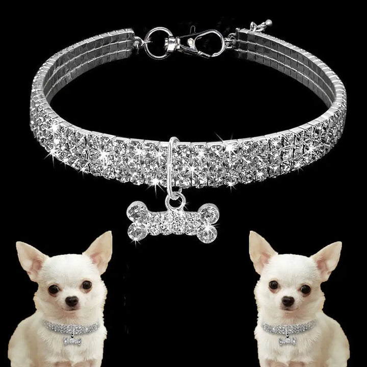 Refined Accessory: Pet Collar