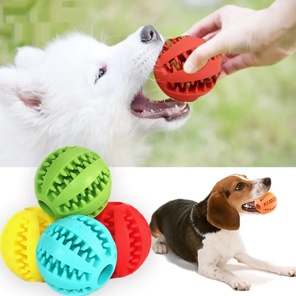 Pet Chew Toys: Rubber Ball Delights