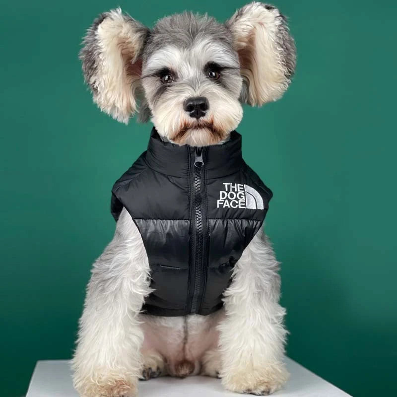 Warm Black Dog Jacket