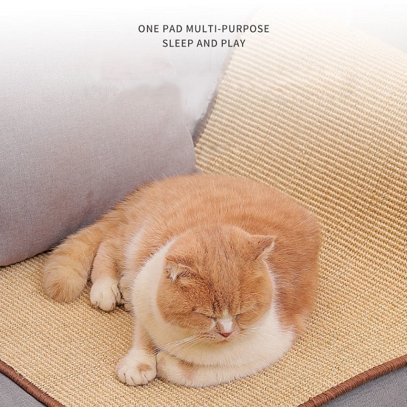 Cat Scratch Protection Mat for Couch