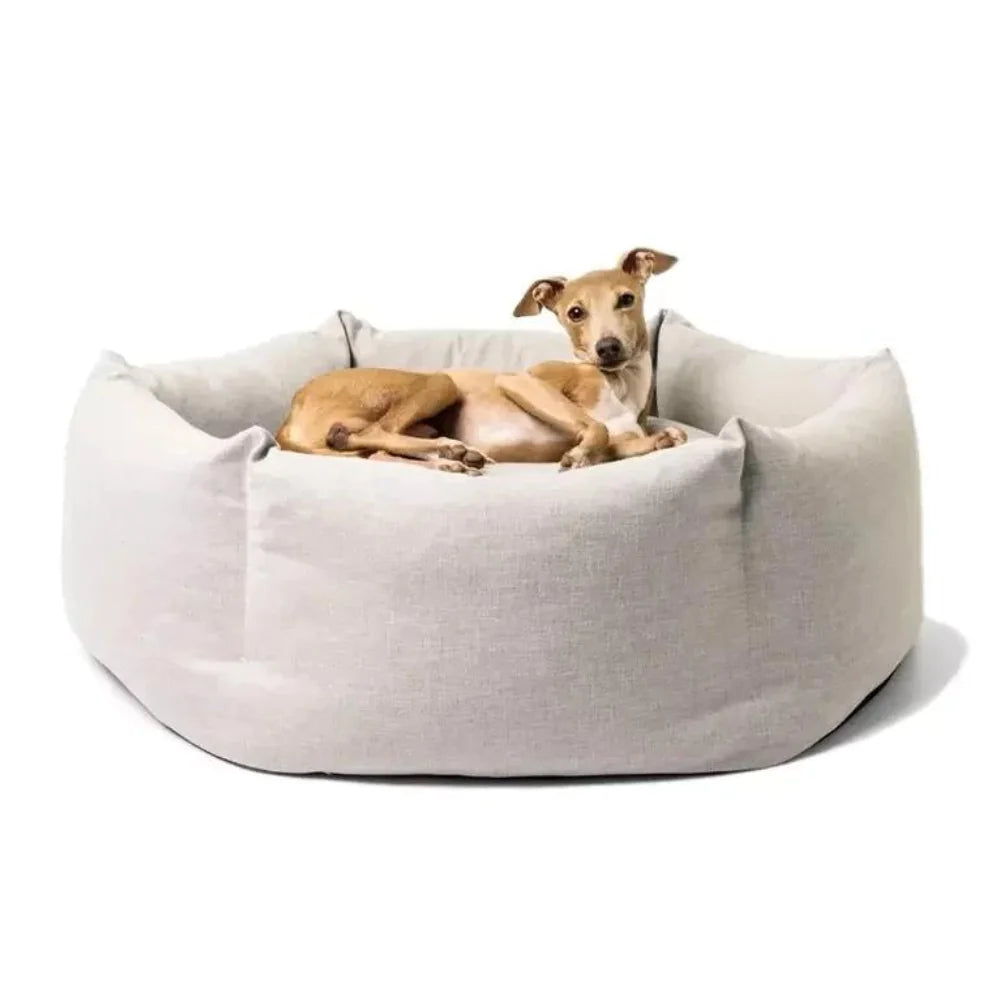 Cozy Paws Soothing Dog Bed