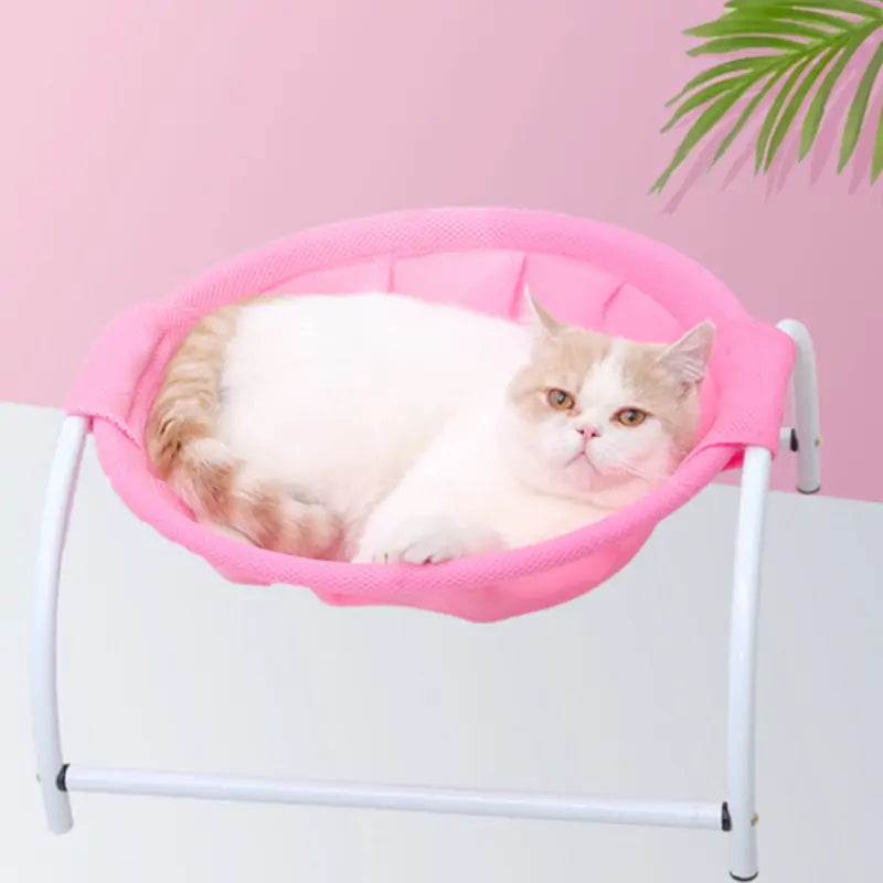 Pet Hammock with Iron Frame