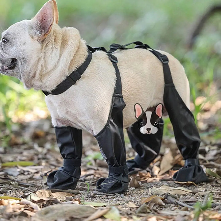 Non-Skid Canine Footwear