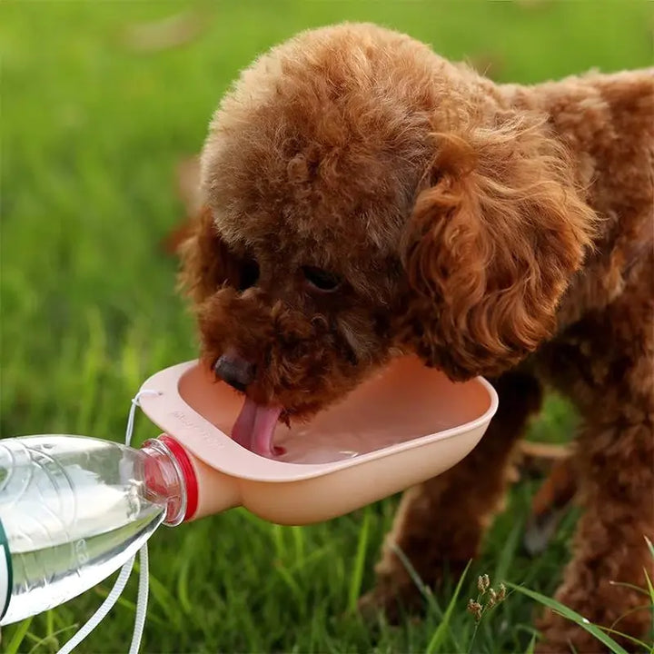 Portable Dog Water Bottle for Pets