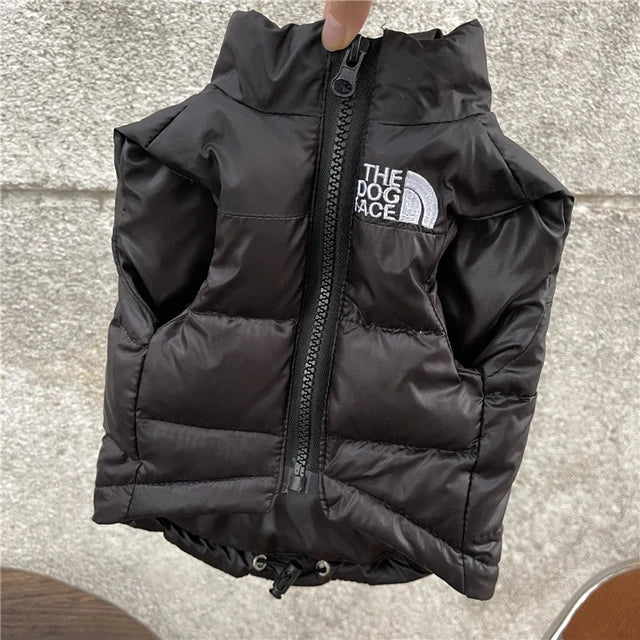 Warm Black Dog Jacket