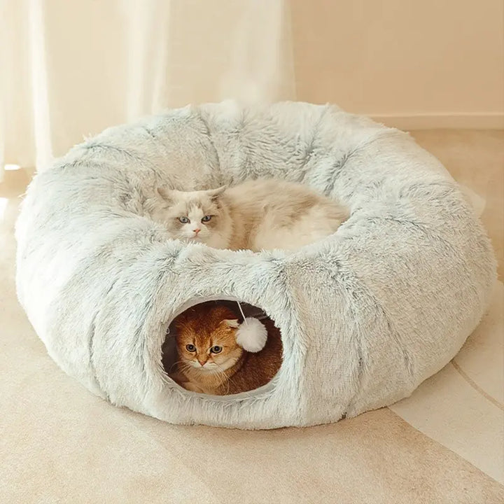 Cozy Homes for Feline Friends: Cat Beds