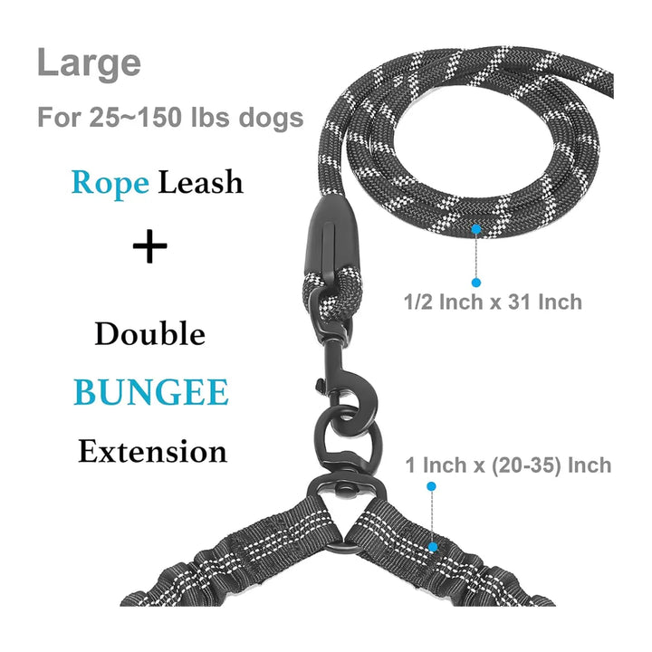 Tangle-Free Dual Dog Leash