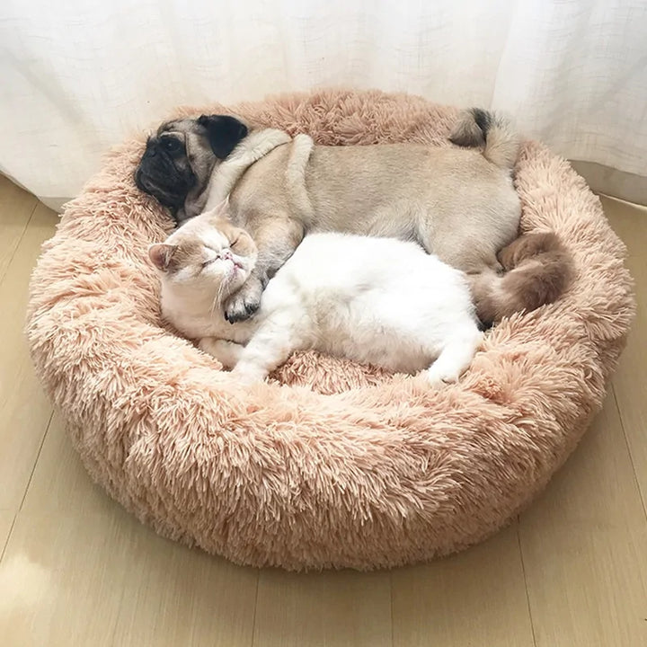 Plush Comfort Oasis: Ultra-Soft Long Pet Bed