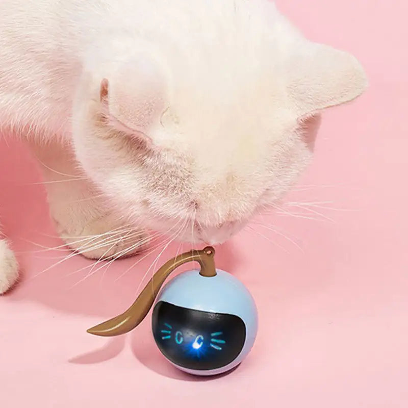 Self-Rotating Automatic Cat Toy