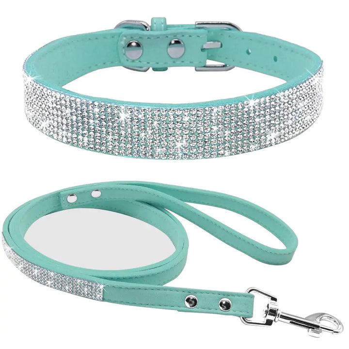 Collar Leash Ensemble for Pets