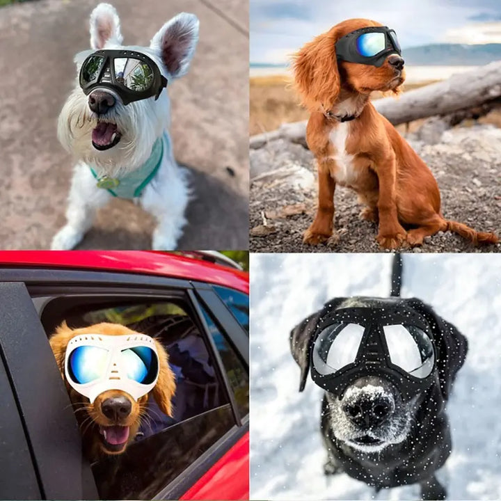 Windproof Summer Dog Sunglasses