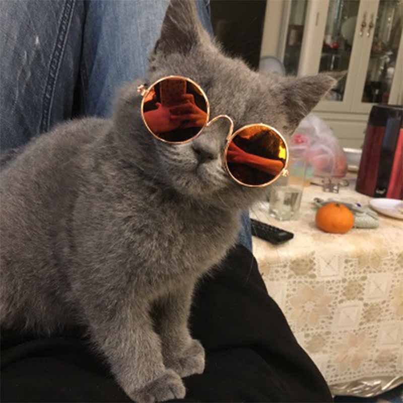 Retro Circular Cat Sunglasses