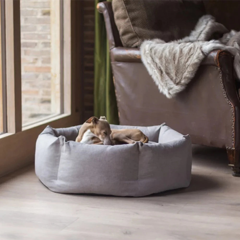 Cozy Paws Soothing Dog Bed