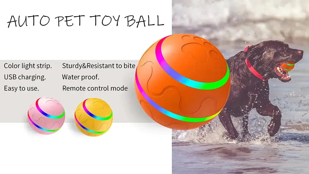 Smart Pet Interactive Ball Toy