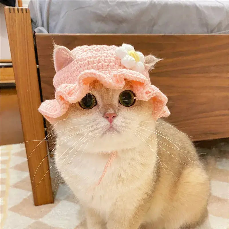 Refined and Adorable Pet Hat