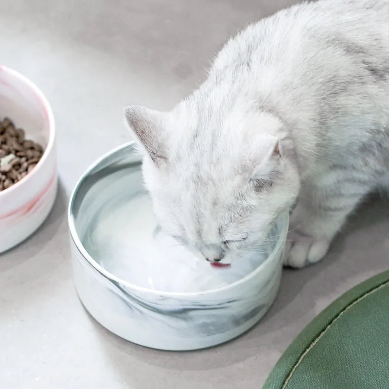 Marble-Pattern Ceramic Double Pet Bowl