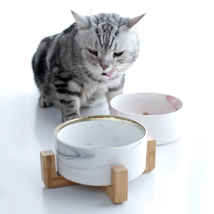 Marble-Pattern Ceramic Double Pet Bowl