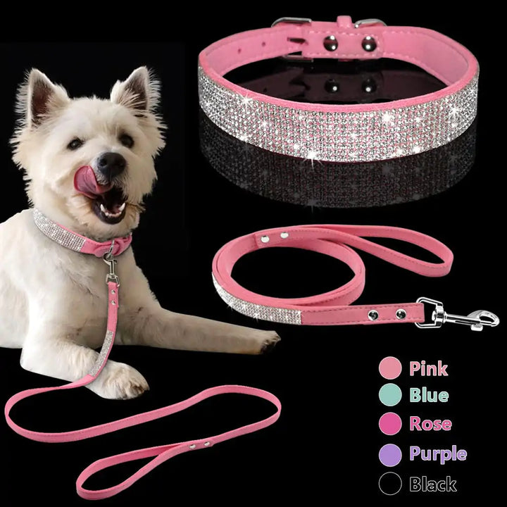 Collar Leash Ensemble for Pets