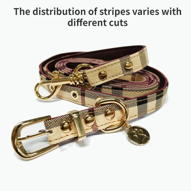 Premium Leather Pet Collar and Leash Set