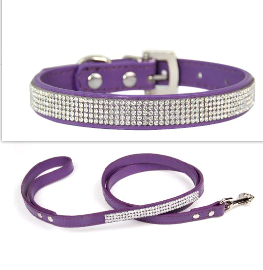 Collar Leash Ensemble for Pets