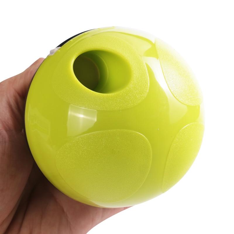 Interactive Pet IQ Test Treat Ball Dispenser